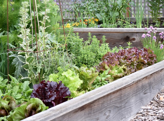 Harvest Raised Garden Bed