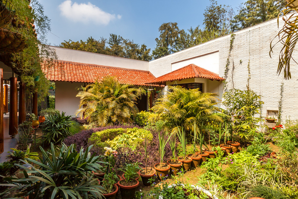 Halbschattiger Asiatischer Garten im Innenhof in Delhi