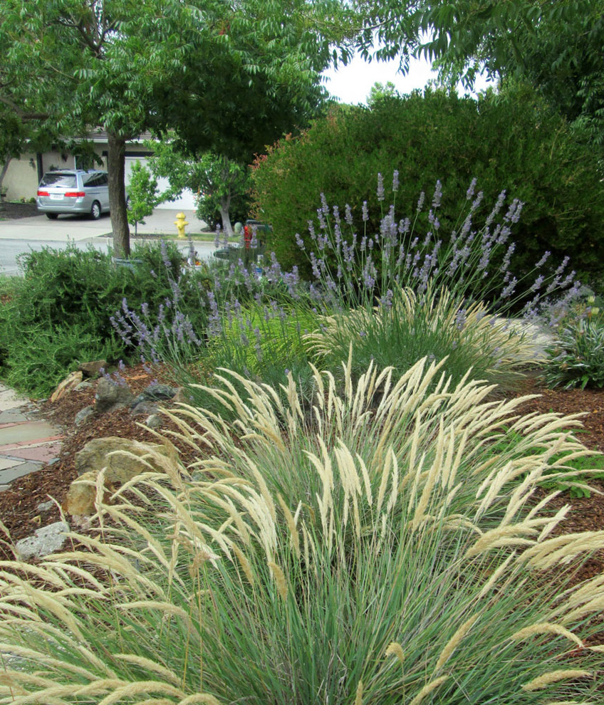Свежая идея для дизайна: весенний засухоустойчивый сад на переднем дворе с садовой дорожкой или калиткой, полуденной тенью и покрытием из каменной брусчатки - отличное фото интерьера