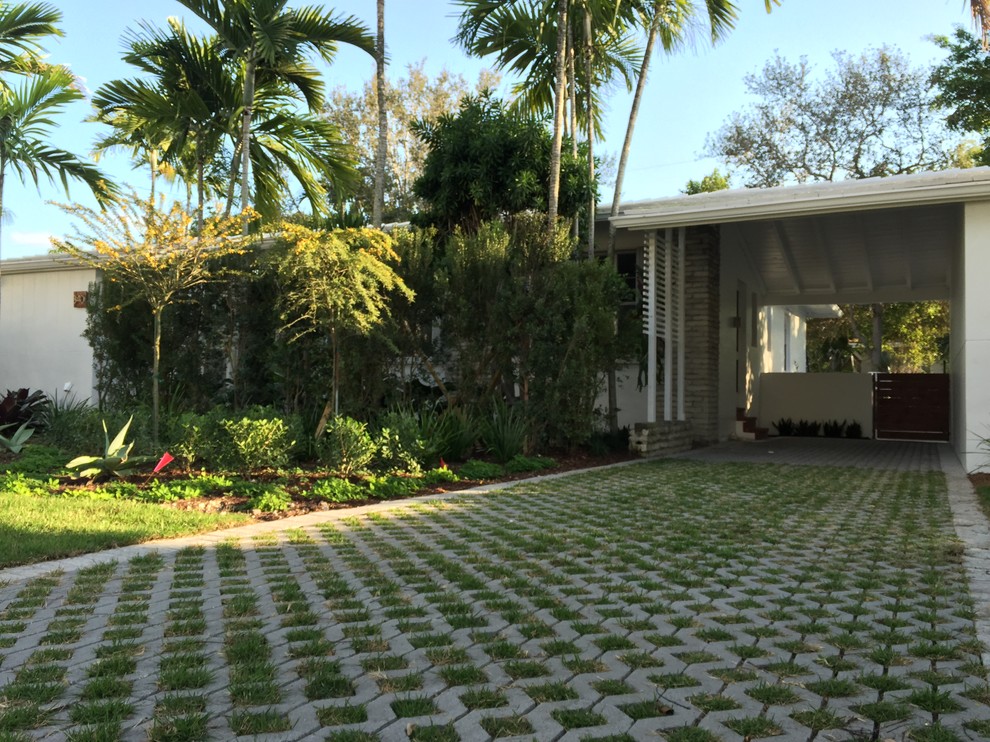Design ideas for a medium sized modern front driveway partial sun garden in Miami with a garden path and concrete paving.