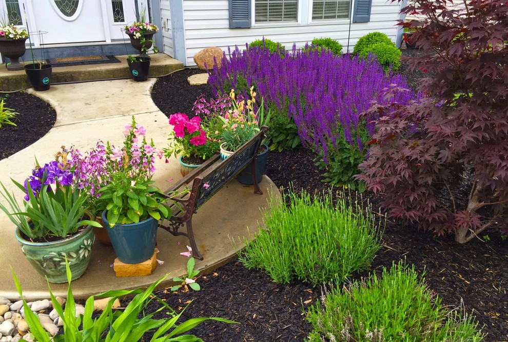 Gallery Traditional Landscape Cincinnati by Eddington