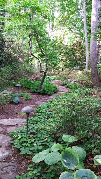 ワシントンD.C.にあるおしゃれな庭 (庭への小道、天然石敷き) の写真