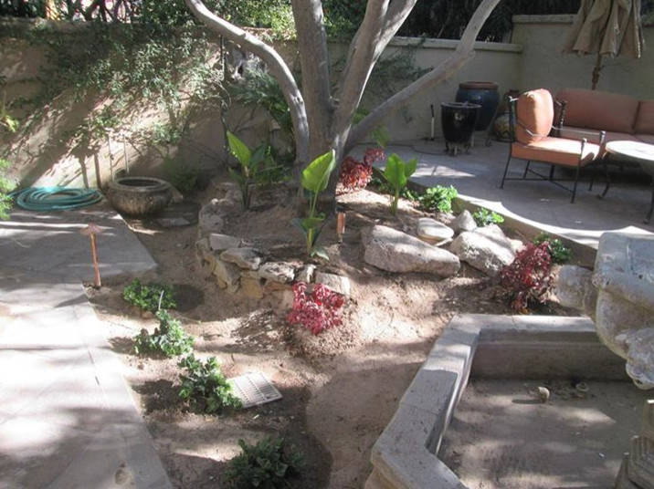 Foto di un grande giardino stile americano esposto in pieno sole dietro casa con un ingresso o sentiero e pavimentazioni in pietra naturale