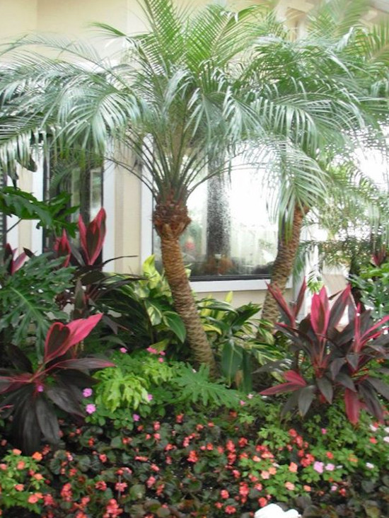 Esempio di un giardino tropicale esposto in pieno sole di medie dimensioni e dietro casa con un ingresso o sentiero e pavimentazioni in pietra naturale
