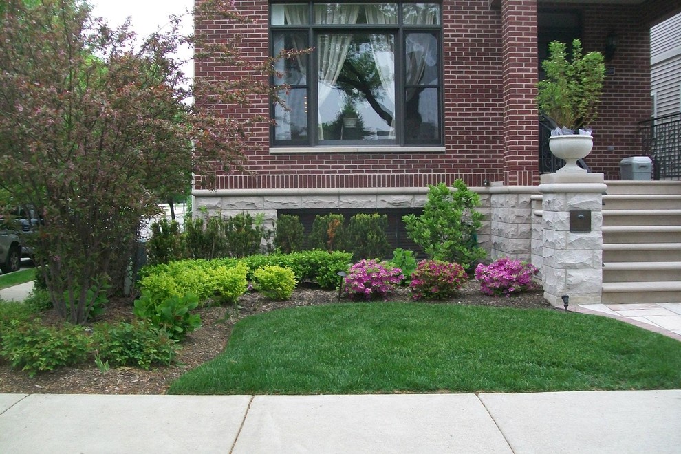 Foto di un giardino formale tradizionale esposto a mezz'ombra di medie dimensioni e davanti casa in estate con pacciame e un ingresso o sentiero
