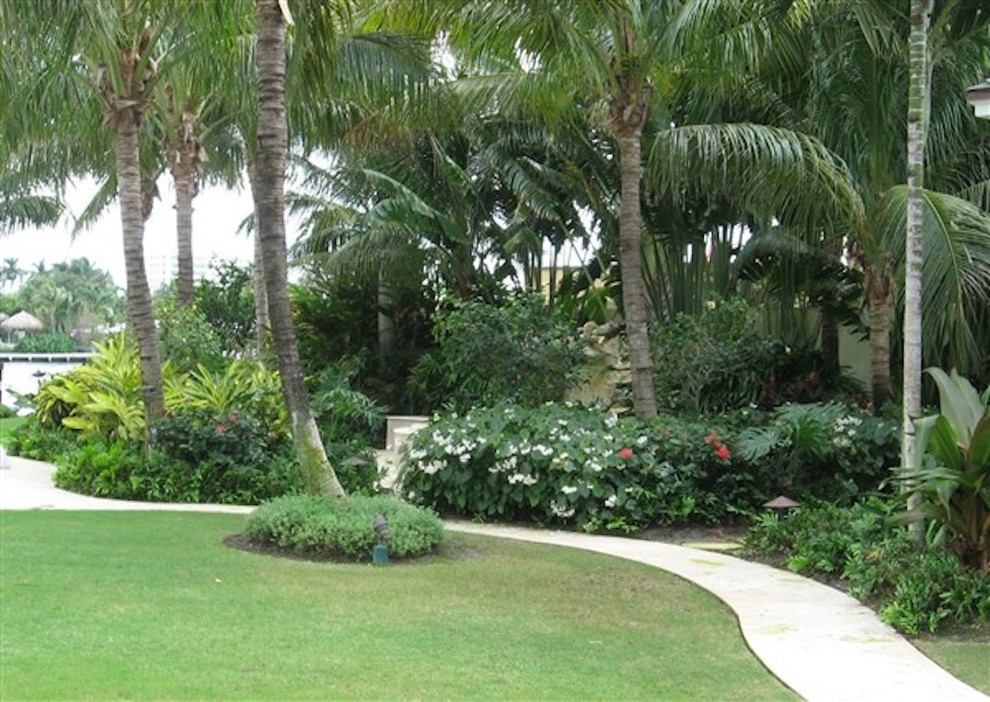 Ispirazione per un vialetto d'ingresso tropicale in ombra di medie dimensioni e dietro casa in estate con pavimentazioni in pietra naturale