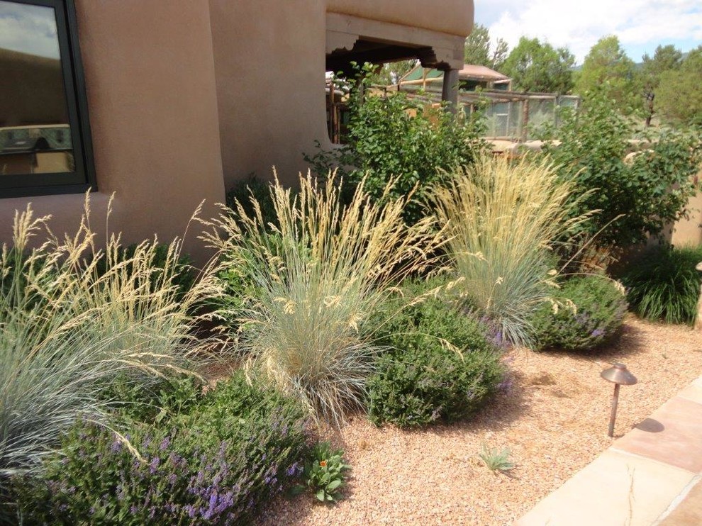 Photo of a large southwestern drought-tolerant and partial sun side yard gravel landscaping in Albuquerque.