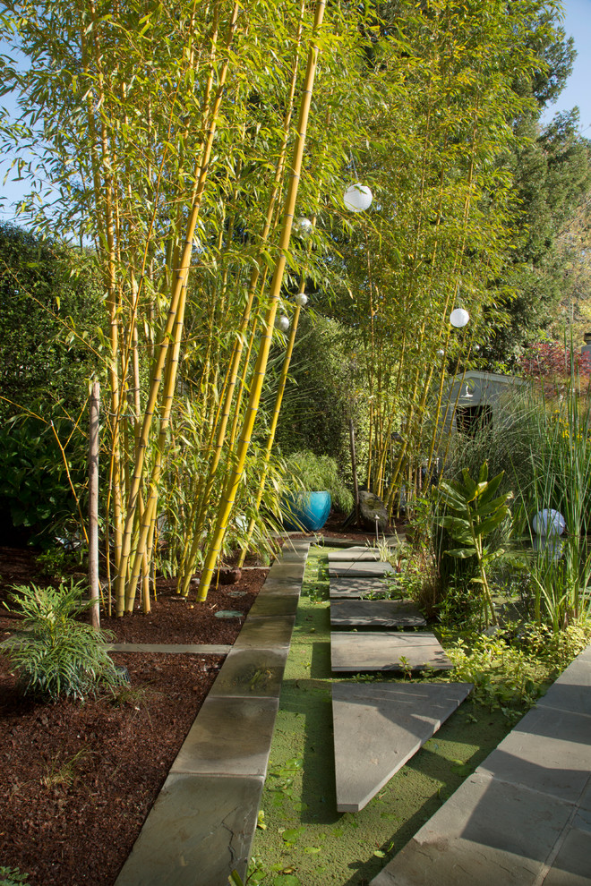サンフランシスコにあるトロピカルスタイルのおしゃれな庭の写真