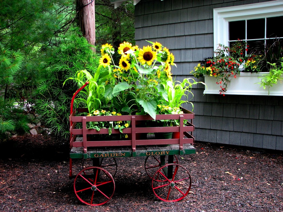 Cette photo montre un jardin en pots avant chic l'été avec une exposition partiellement ombragée et un paillis.