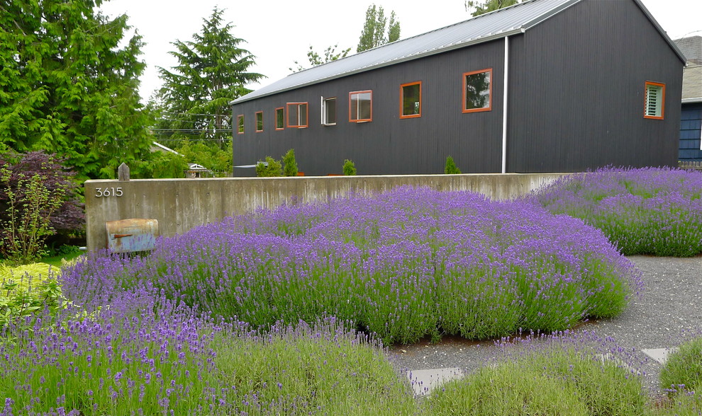 Idee per un giardino boho chic esposto in pieno sole di medie dimensioni e davanti casa in primavera con ghiaia e un giardino in vaso