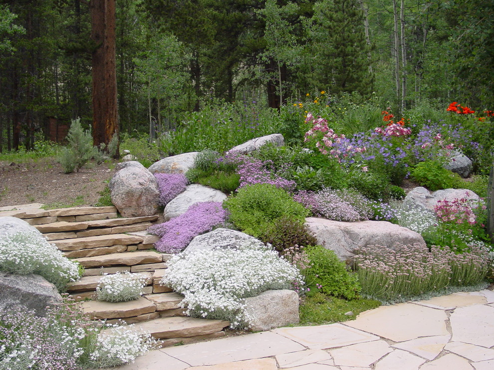 На фото: большой солнечный регулярный сад на заднем дворе с хорошей освещенностью и покрытием из каменной брусчатки с