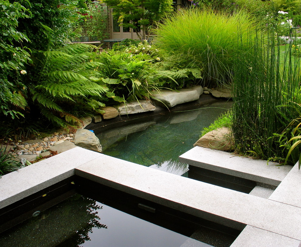 Diseño de jardín de estilo zen con fuente