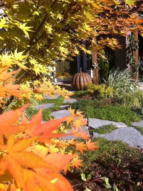 Idee per un giardino american style esposto in pieno sole di medie dimensioni e davanti casa in autunno con un ingresso o sentiero