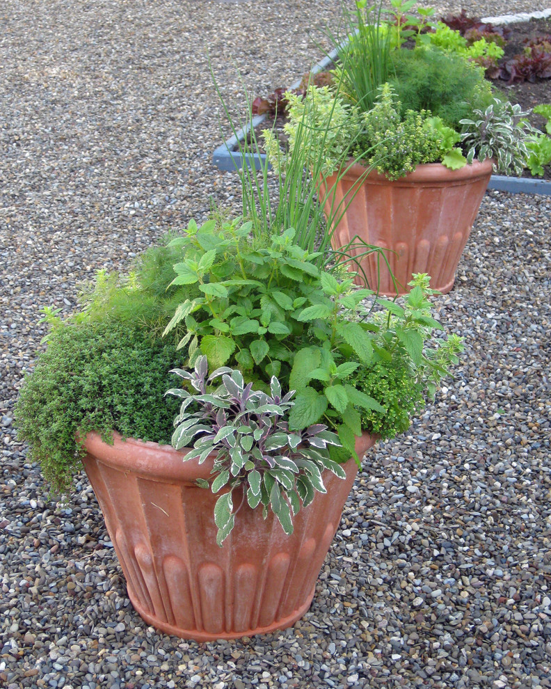 Cette image montre un petit jardin en pots arrière traditionnel l'été avec une exposition ensoleillée et du gravier.