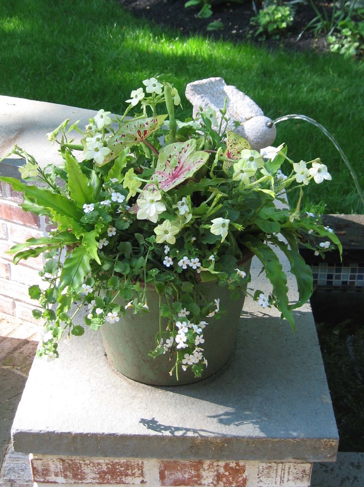 Ispirazione per un piccolo giardino classico in ombra dietro casa in estate con un giardino in vaso