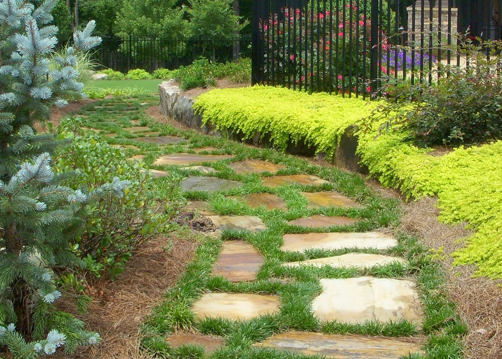 Idee per un giardino tradizionale di medie dimensioni e dietro casa con un ingresso o sentiero