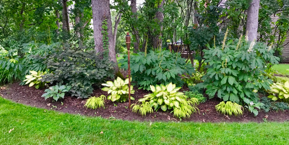 Geometrischer, Geräumiger, Schattiger Klassischer Garten im Sommer, hinter dem Haus in Chicago