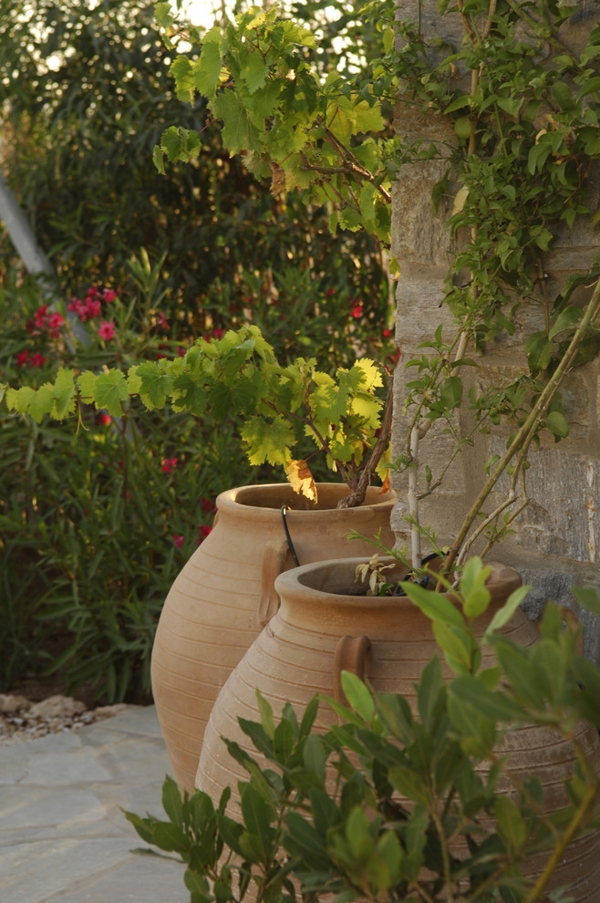 Exemple d'un jardin en pots arrière méditerranéen.