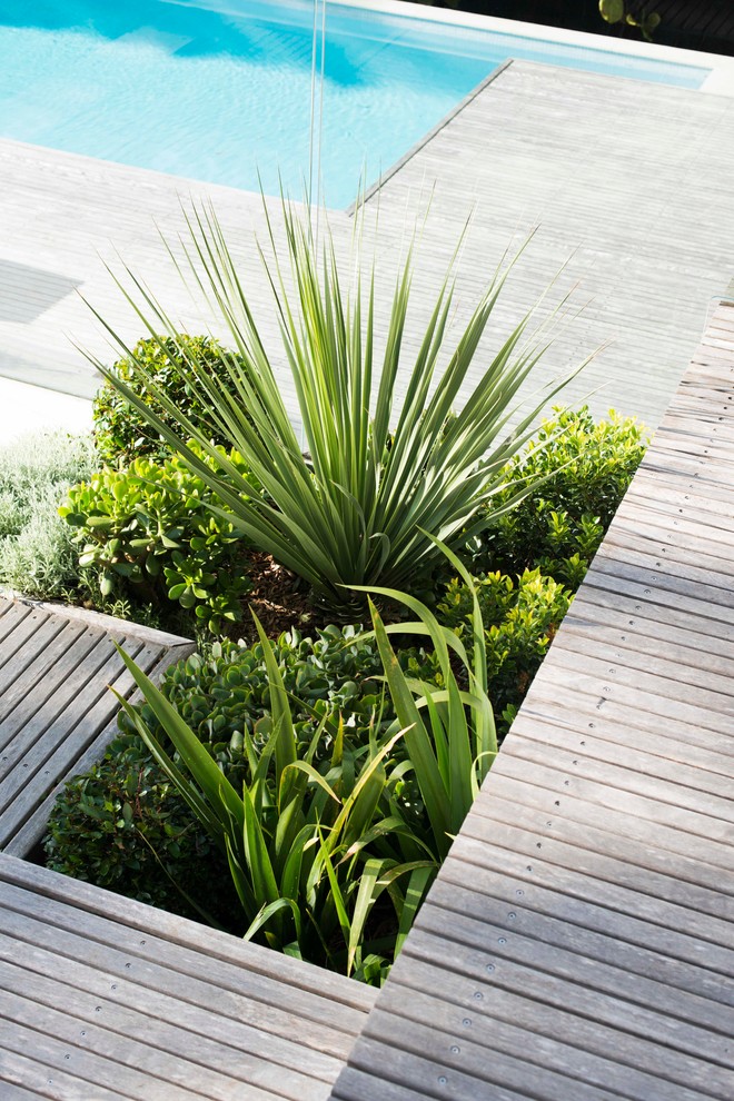 Kleiner Moderner Garten hinter dem Haus mit Wasserspiel, direkter Sonneneinstrahlung und Betonboden in Sydney