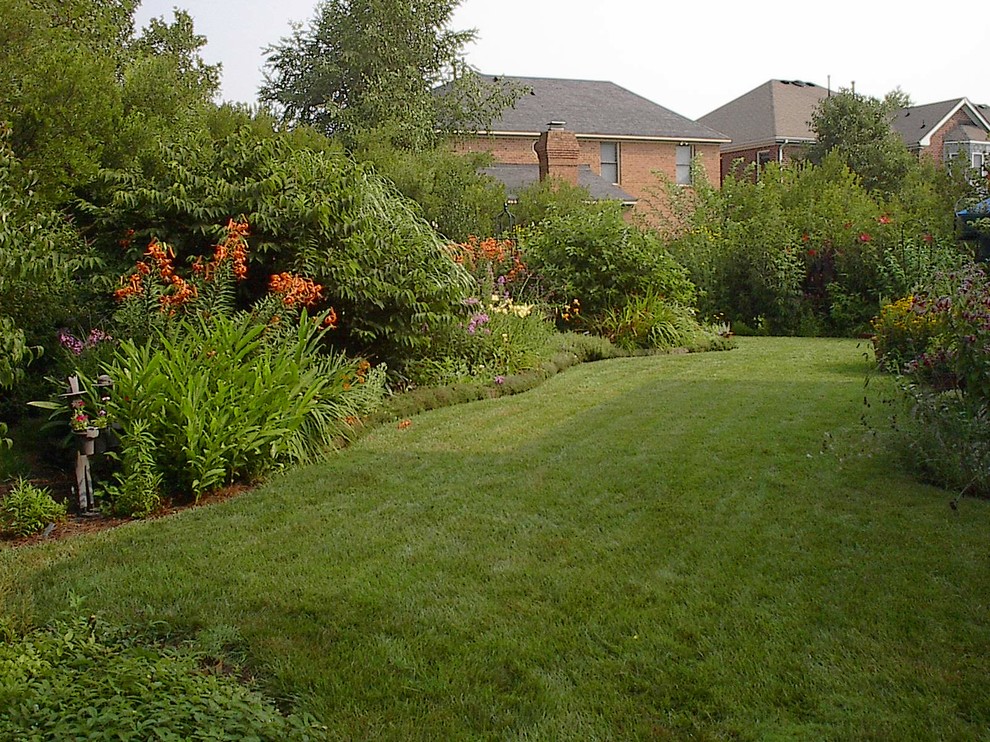 Cette image montre un grand jardin arrière avec une exposition ensoleillée.