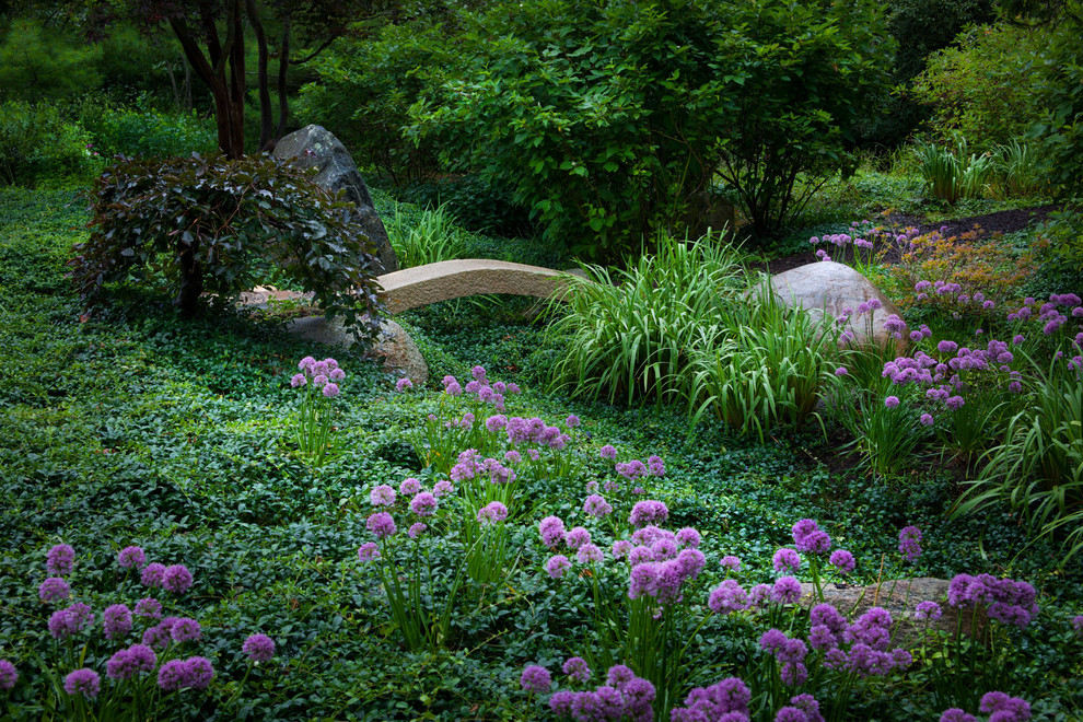 Diseño de jardín de estilo zen de tamaño medio en patio trasero con mantillo