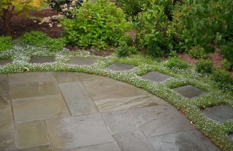 Inspiration for a small contemporary back fully shaded garden in Seattle with natural stone paving.