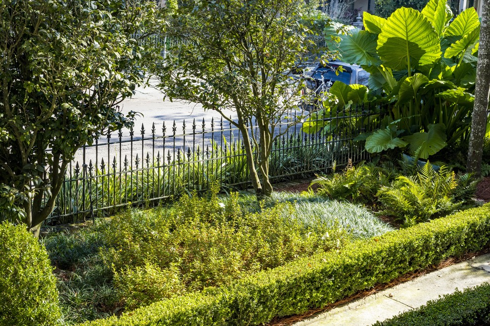 Источник вдохновения для домашнего уюта: маленький регулярный сад на переднем дворе в классическом стиле с садовой дорожкой или калиткой для на участке и в саду