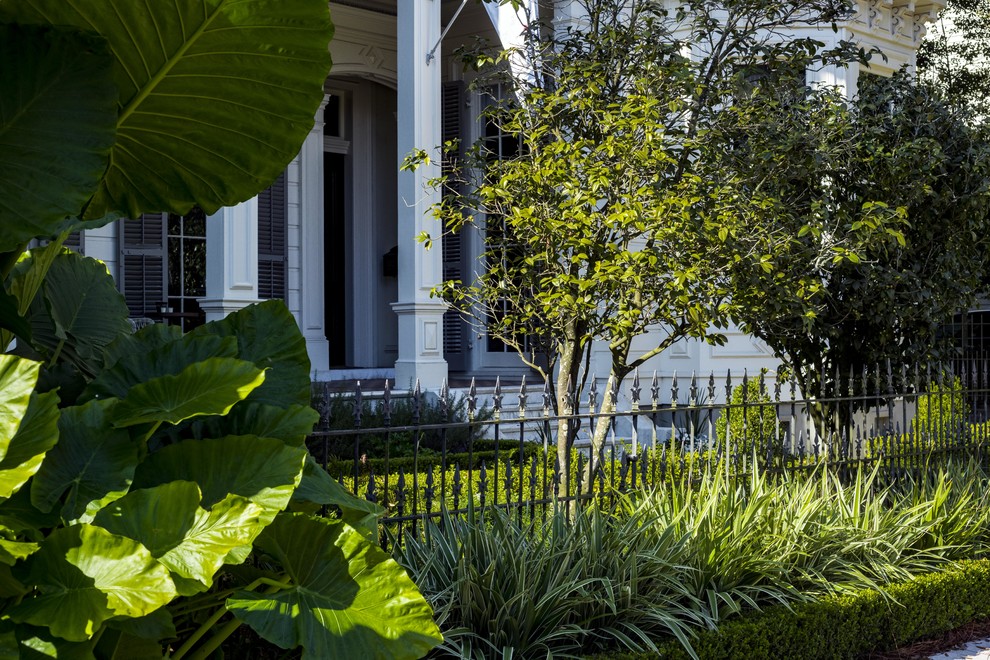 This is an example of a small classic front formal garden in New Orleans.