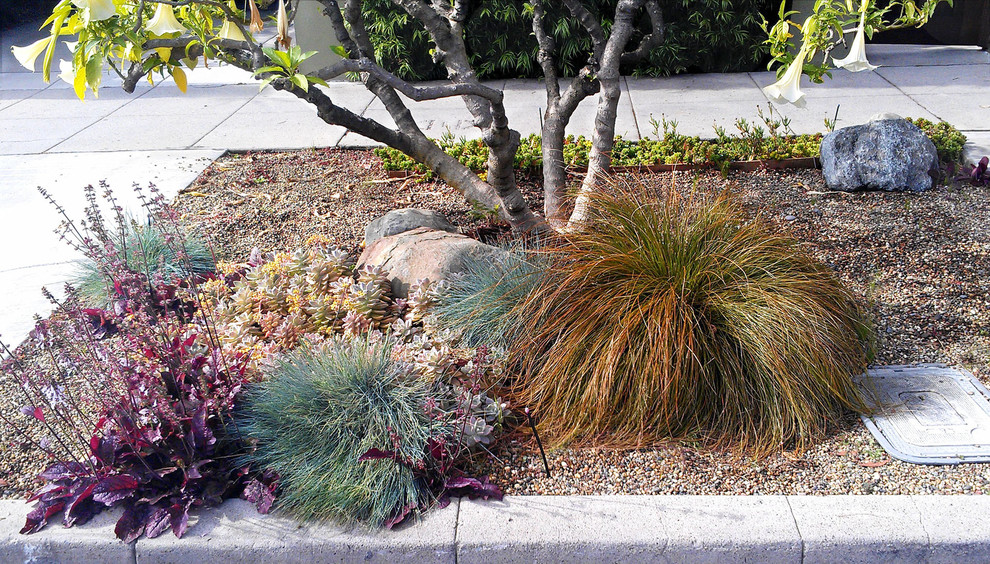 This is an example of a small contemporary full sun front yard landscaping in Los Angeles.