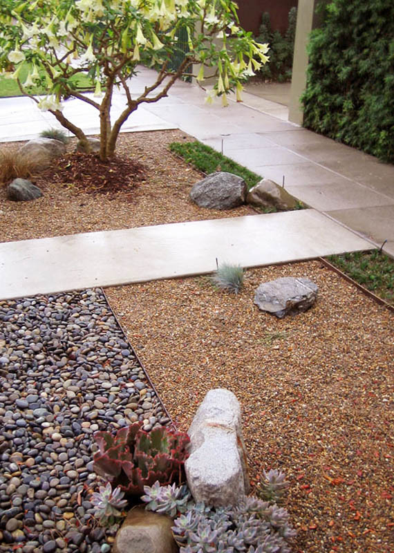 Inspiration for a small contemporary front full sun garden in Los Angeles.