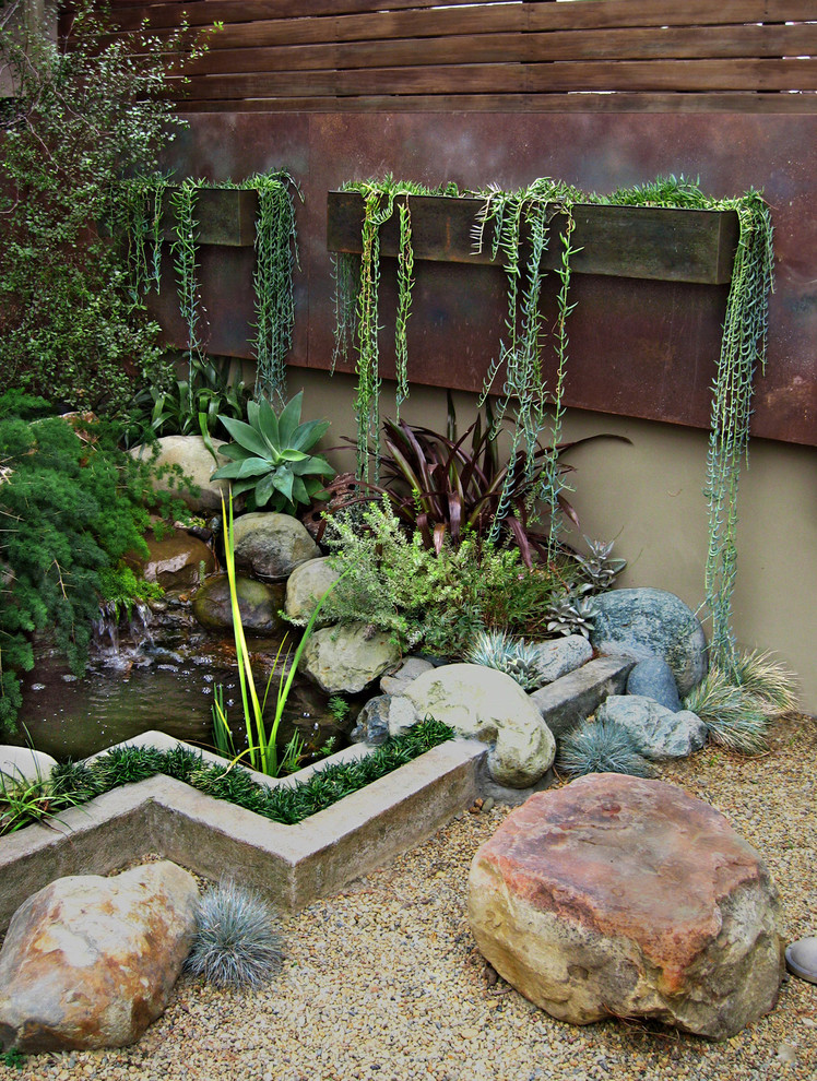 This is an example of a small contemporary full sun courtyard landscaping in Los Angeles.