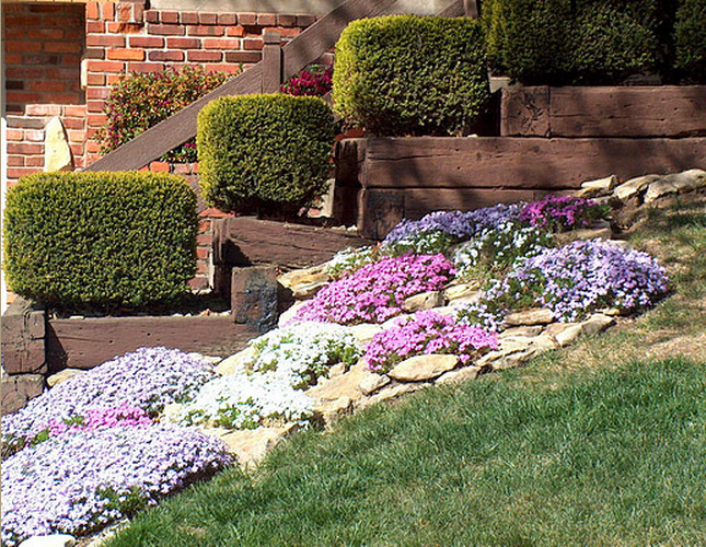 Garden Gallery Traditional Landscape Kansas City By Suburban Lawn Houzz - Suburban Lawn And Garden Martin City