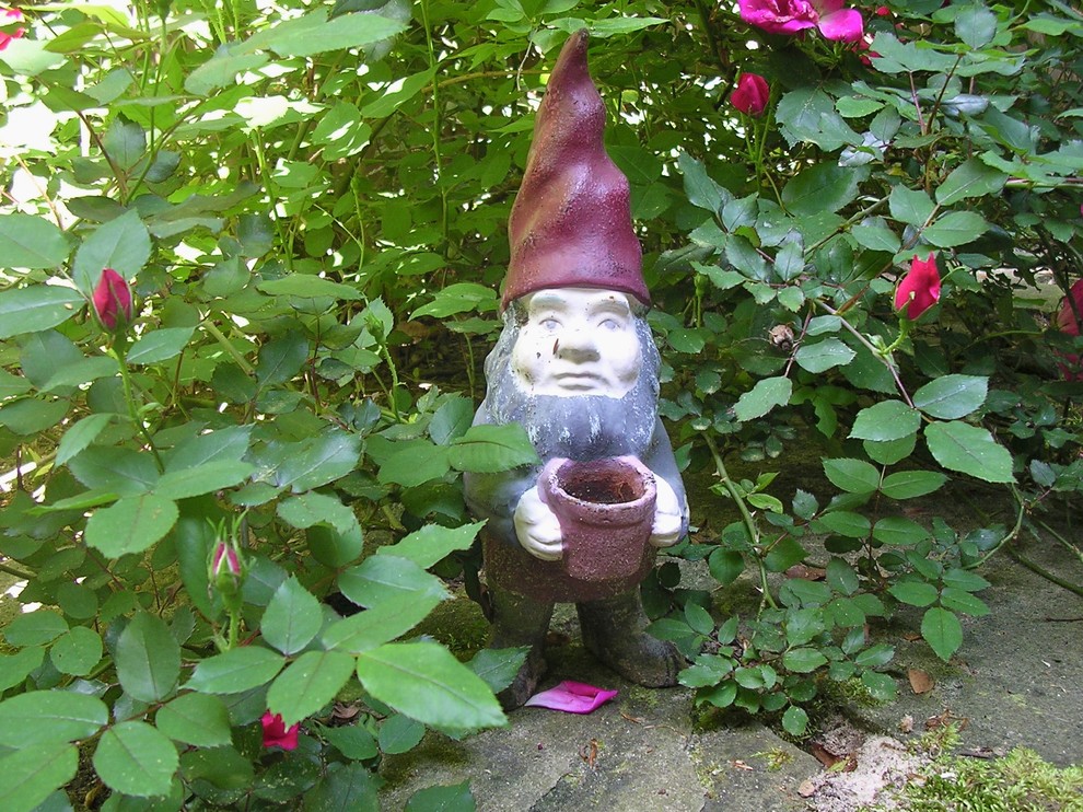 Inspiration for an eclectic landscaping in Other.