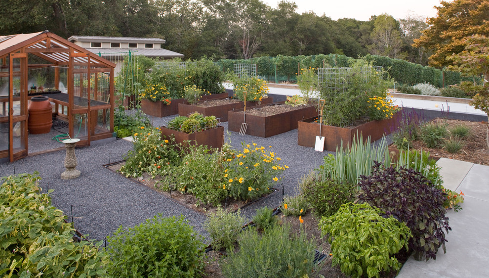 Идея дизайна: огород на участке в стиле модернизм