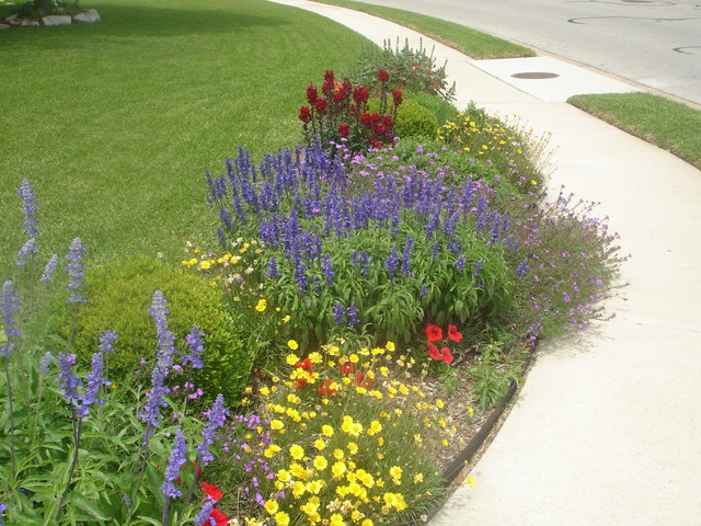 Garden Ideas - Eclectic - Garden - Austin - by Mary's Garden | Houzz AU