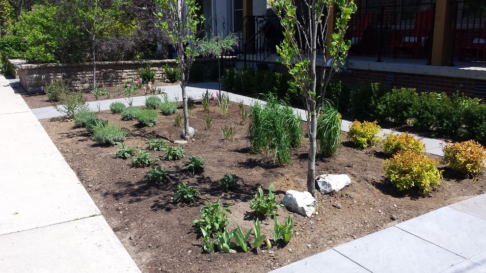 Mittelgroßer Moderner Vorgarten im Sommer mit Auffahrt, Kübelpflanzen, direkter Sonneneinstrahlung und Mulch in Toronto