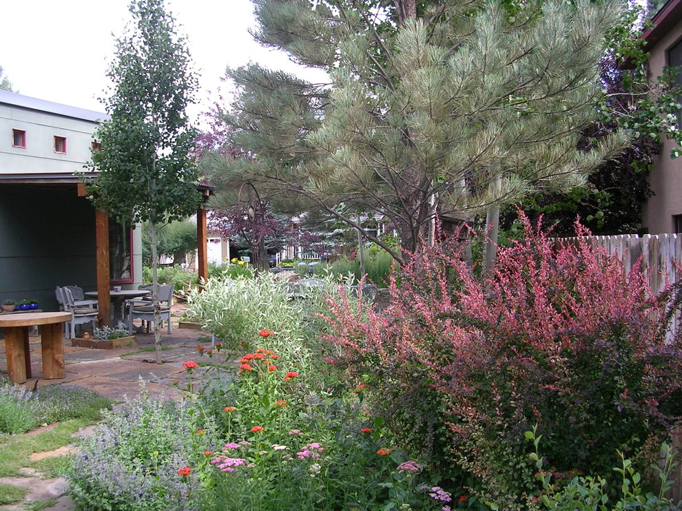 Источник вдохновения для домашнего уюта: осенний засухоустойчивый сад среднего размера на переднем дворе в стиле фьюжн с полуденной тенью и покрытием из каменной брусчатки