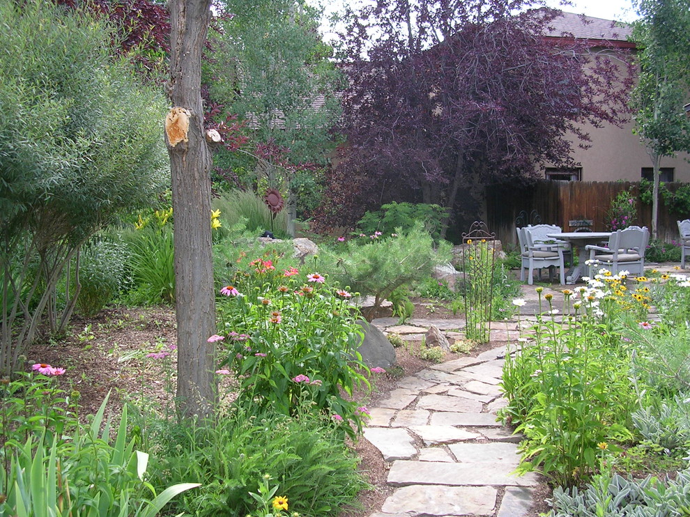 На фото: осенний засухоустойчивый сад среднего размера на заднем дворе в стиле фьюжн с полуденной тенью, садовой дорожкой или калиткой и покрытием из каменной брусчатки с