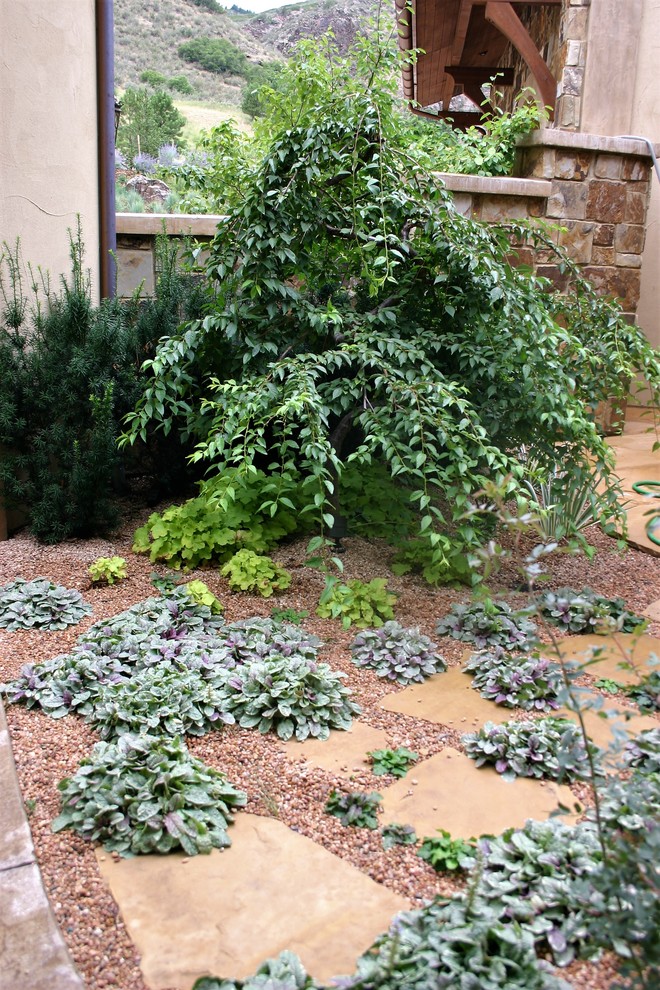 Cette image montre un jardin chalet l'été avec une exposition partiellement ombragée et du gravier.
