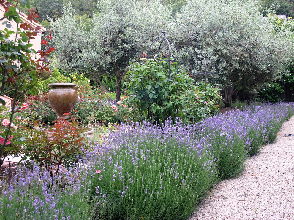 Design ideas for a traditional garden in San Francisco with a water feature and gravel.