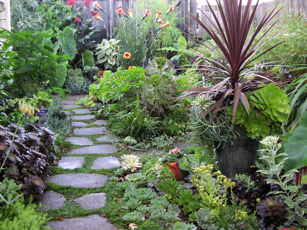 Design ideas for a classic garden in San Francisco.