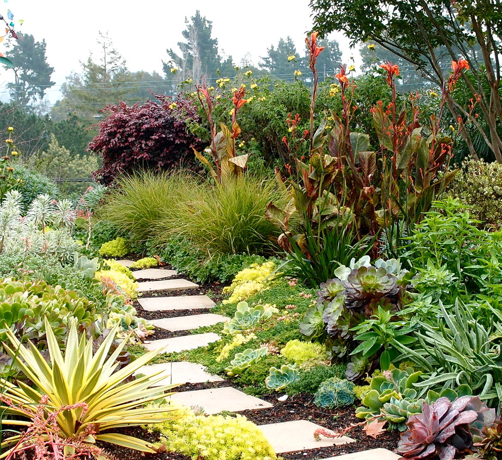 This is an example of a contemporary backyard landscaping in San Francisco.