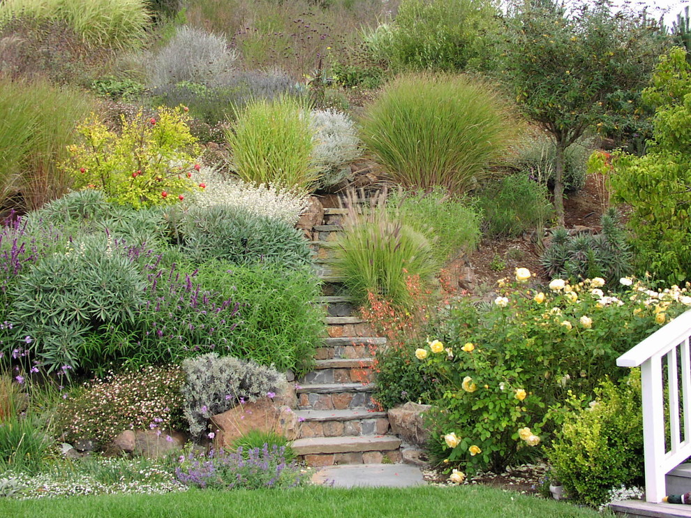 Immagine di un giardino chic con un pendio, una collina o una riva, pavimentazioni in pietra naturale e scale