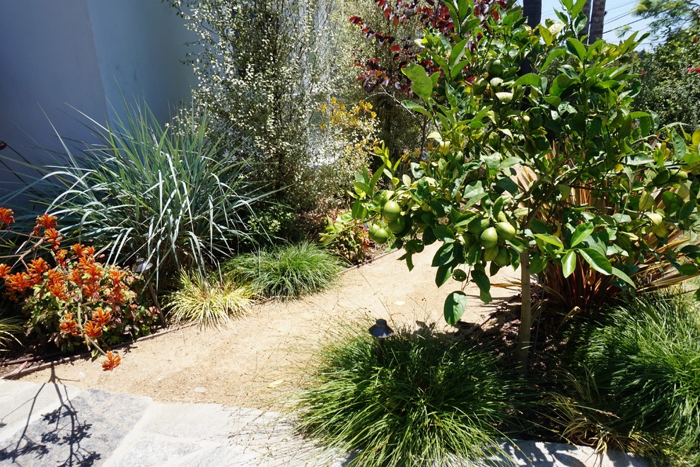Imagen de camino de jardín de secano marinero de tamaño medio en verano en patio delantero con exposición total al sol y adoquines de piedra natural