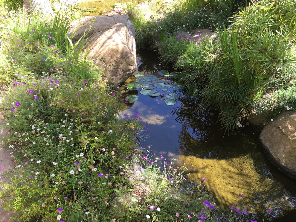 Immagine di un piccolo laghetto da giardino mediterraneo esposto in pieno sole dietro casa