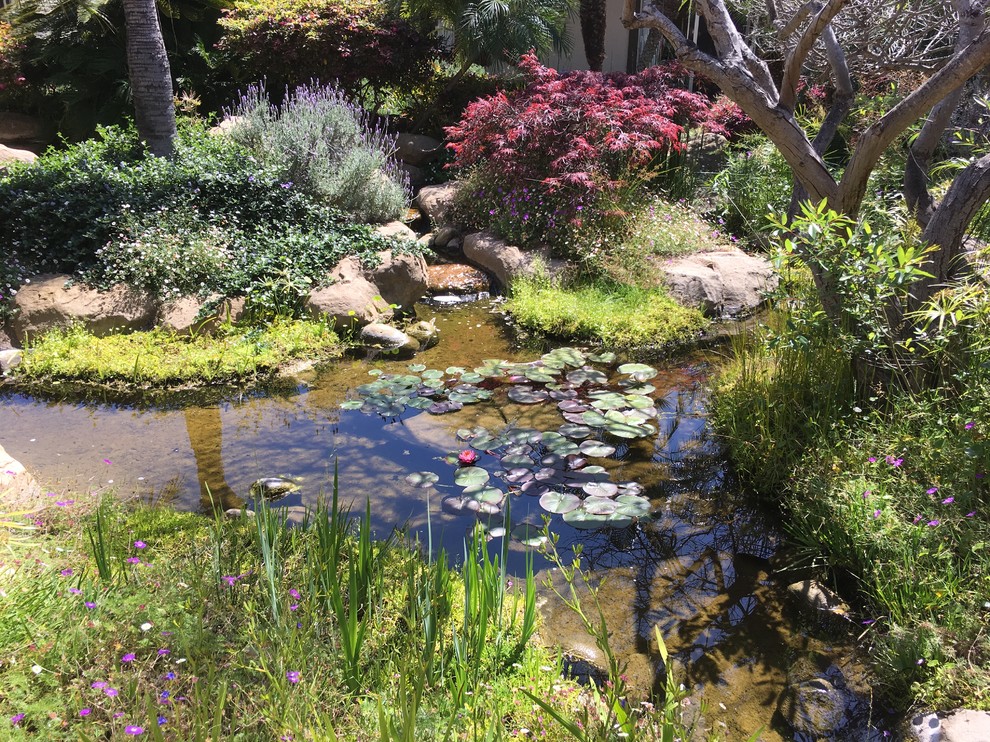 Стильный дизайн: маленький солнечный сад с прудом на заднем дворе в средиземноморском стиле с хорошей освещенностью для на участке и в саду - последний тренд