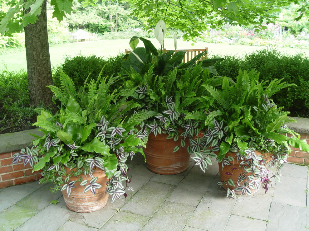 Inspiration for a traditional partial sun backyard landscaping in Chicago for summer.