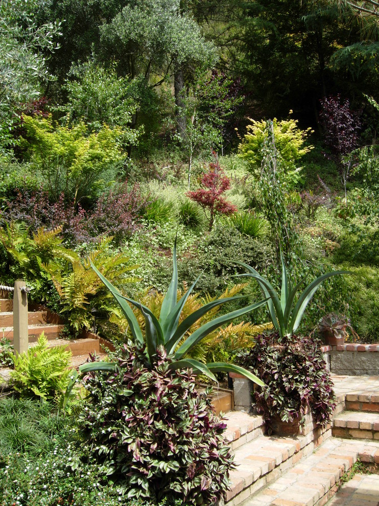 Foto di un giardino mediterraneo con un pendio, una collina o una riva e scale