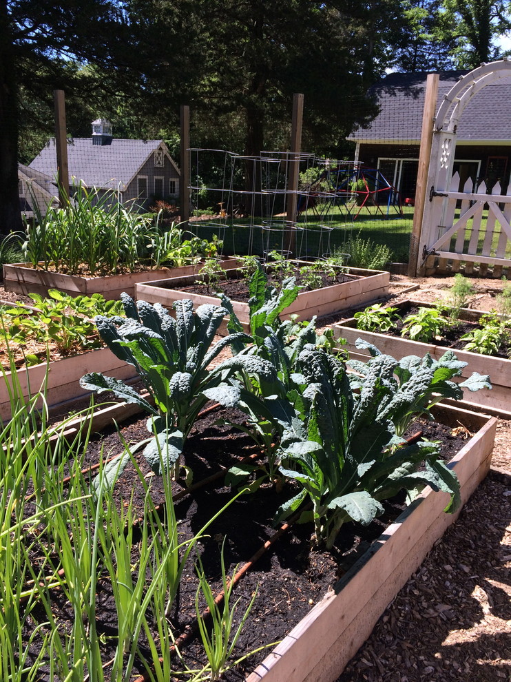 Mittelgroßer Landhausstil Gemüsegarten im Sommer, hinter dem Haus mit direkter Sonneneinstrahlung und Mulch in Huntington