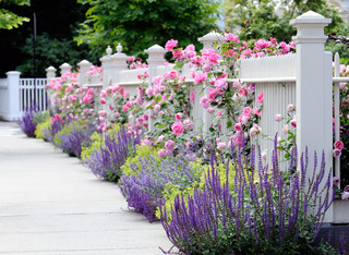 6 idées déco pour décorer sa clôture de jardin - Marie Claire
